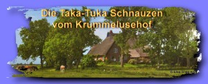 Taka-Tuka-Schnauzen